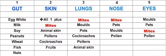 Chart showing common causes of allergy in children and their target organs, highlighting the house dust mite.