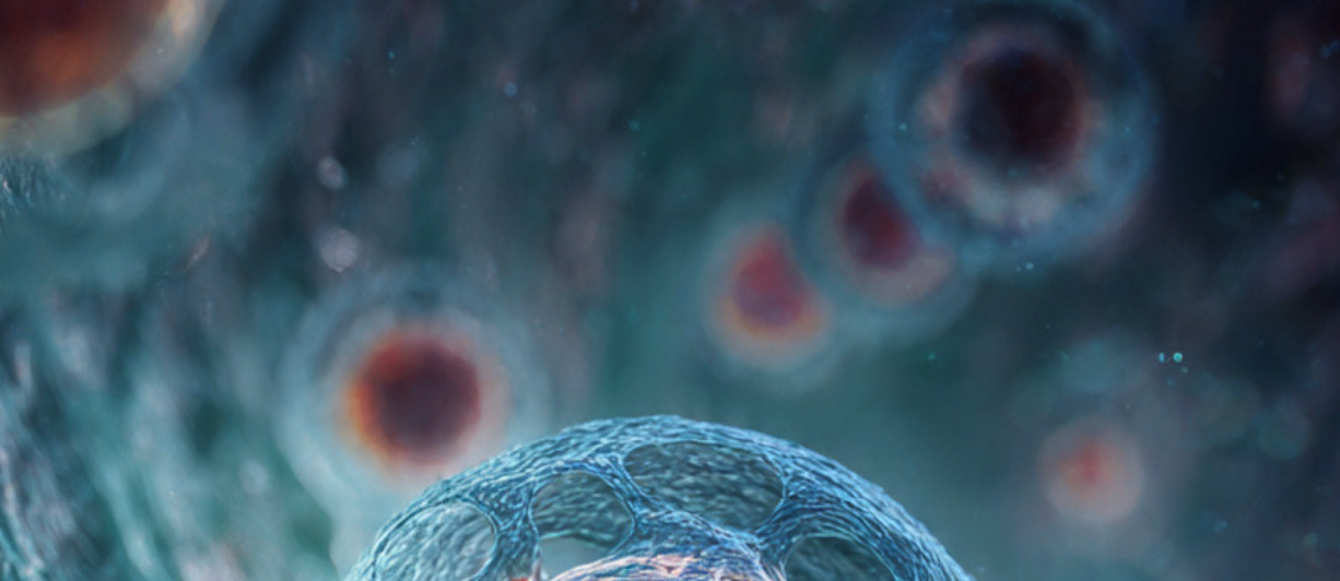 Chart showing risk synergy between virus infection and mite allergen exposure