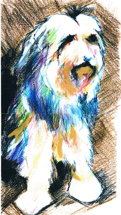 Drawing of a dusty dog, representing a pet suffering from allergic dermatitis due to house dust mites.