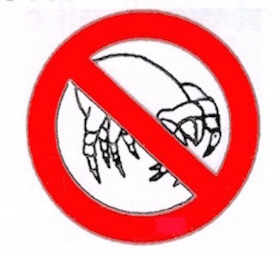 A large red circle and cross over a pile of house dust mites, symbolizing elimination and avoidance.