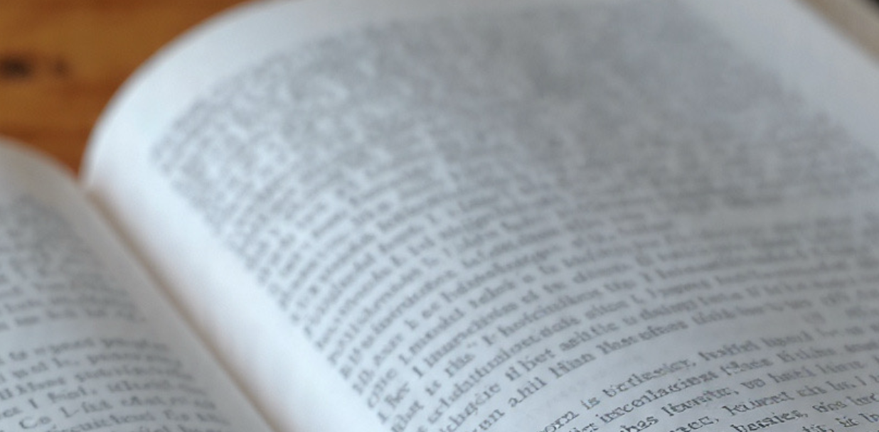 Scanning electron micrograph of a mite dropping next to a scale