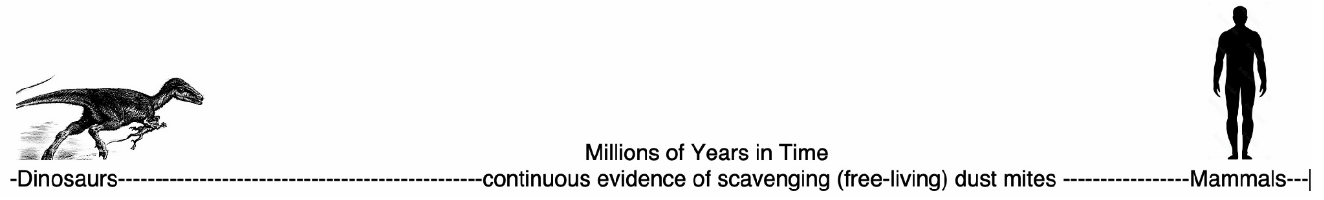 Mites from Dinosaurs to Mammals